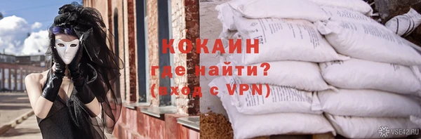 твердый Няндома