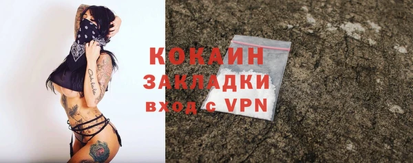 твердый Няндома