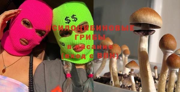 твердый Няндома