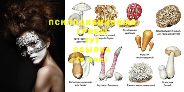 мефедрон VHQ Нязепетровск