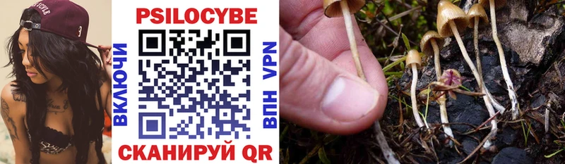 купить   Сортавала  Псилоцибиновые грибы мухоморы 
